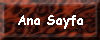 Mevlana web page